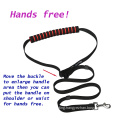 Dog Leash Set Double